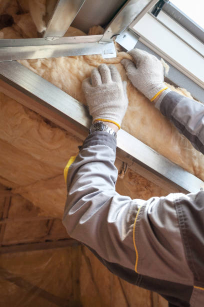 Best Insulation for Specific Applications in Eulyptus Hills, CA