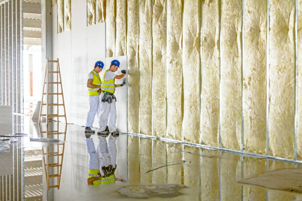 Best Residential Insulation in Eulyptus Hills, CA